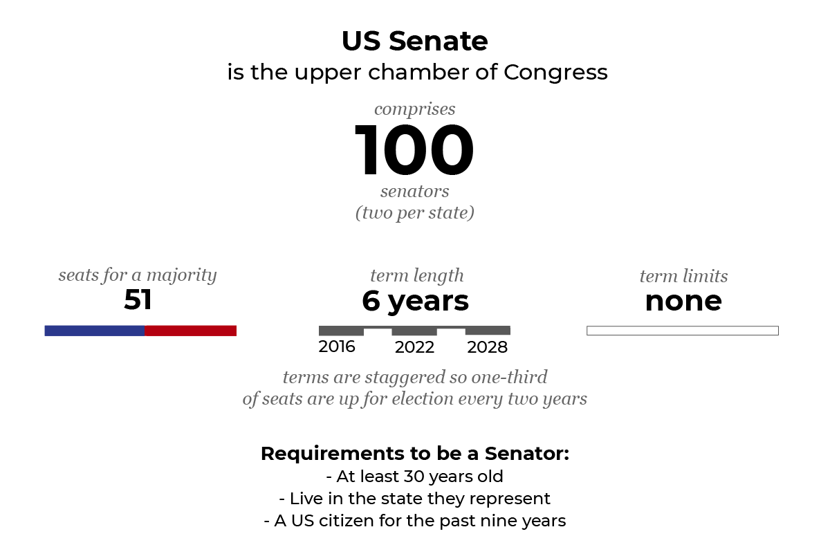 Infographic showing how the senate works